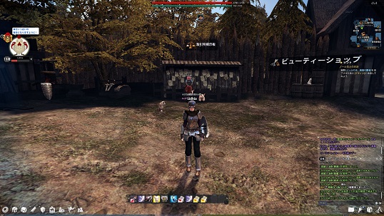 マビノギ英雄伝コッコSS マビノギ英雄伝コッコSS