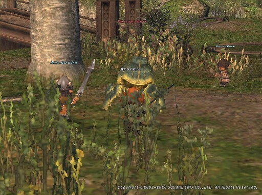 Aru200509155923b Aru200509155923b