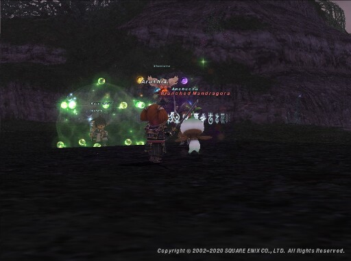 Aru200510072852a Aru200510072852a