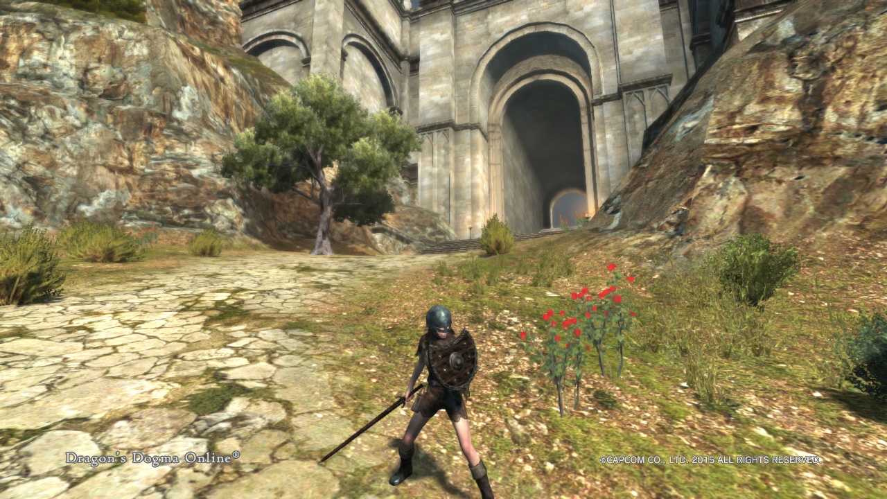 Dragon'sDogmaOnline_1507276958 Dragon'sDogmaOnline_1507276958