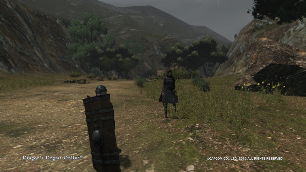 Dragon'sDogmaOnline_1509956064