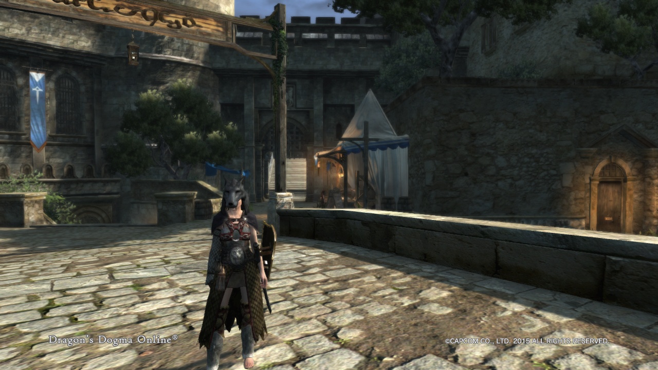 Dragon'sDogmaOnline_1534066155