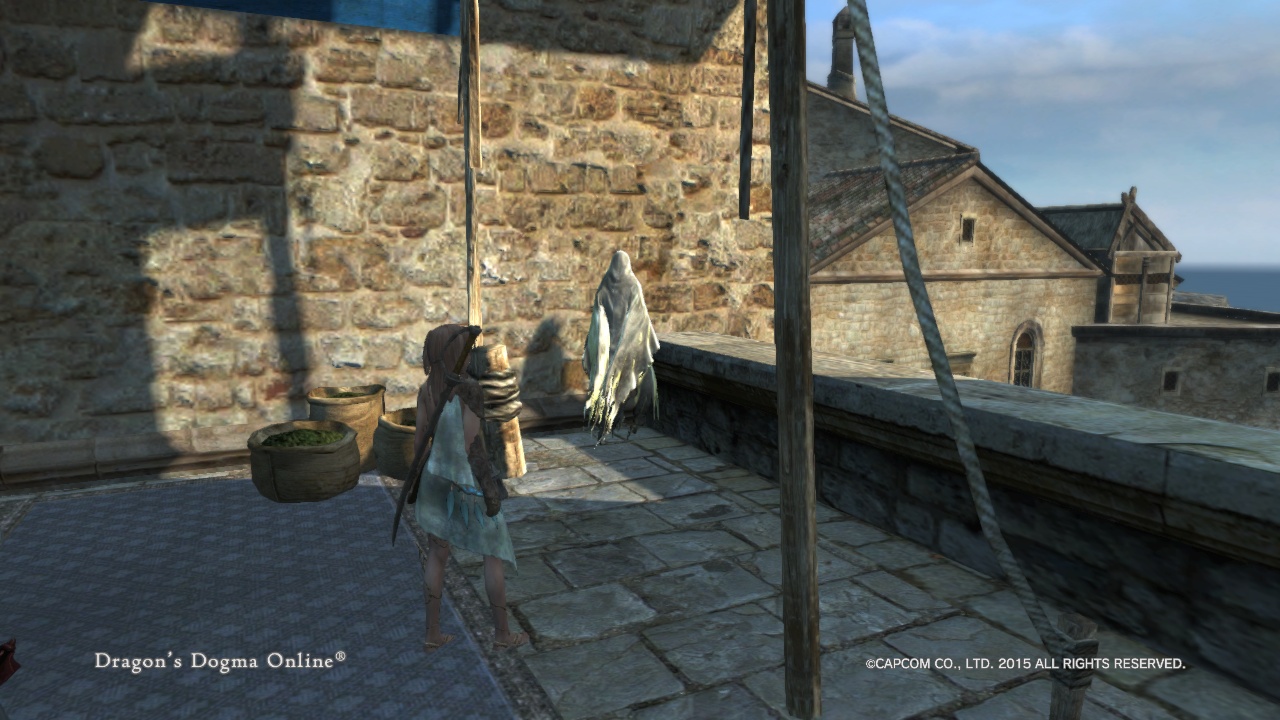 Dragon'sDogmaOnline_1539311576 Dragon'sDogmaOnline_1539311576