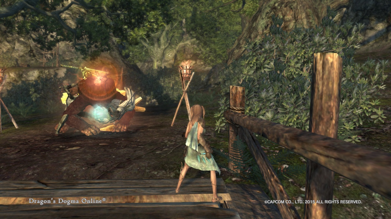 Dragon'sDogmaOnline_1542600527