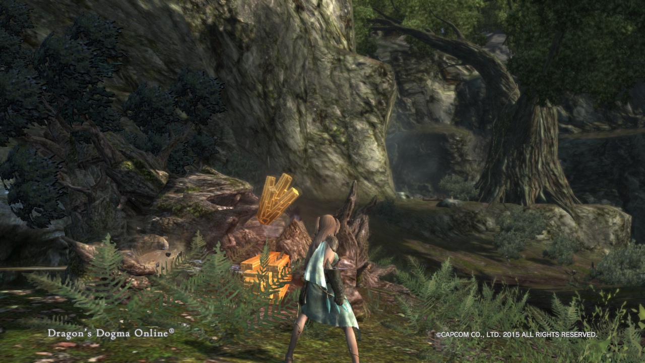 Dragon'sDogmaOnline_1556548411