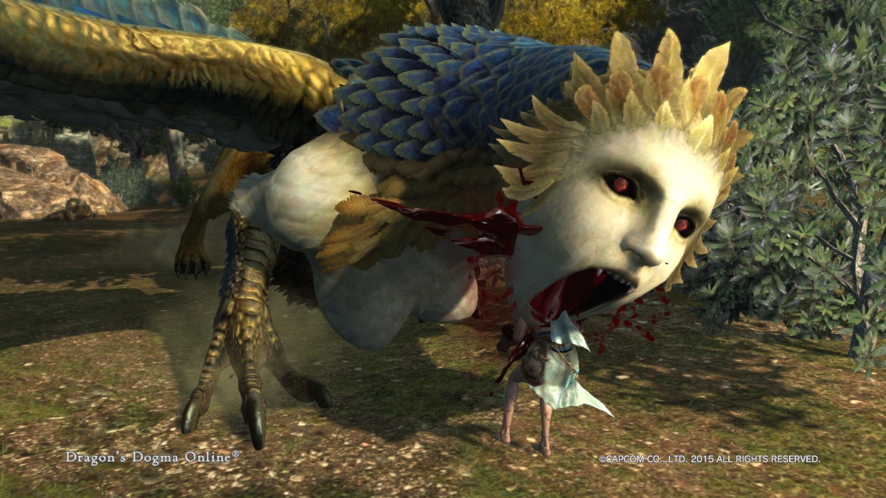 Dragon'sDogmaOnline_1556688850