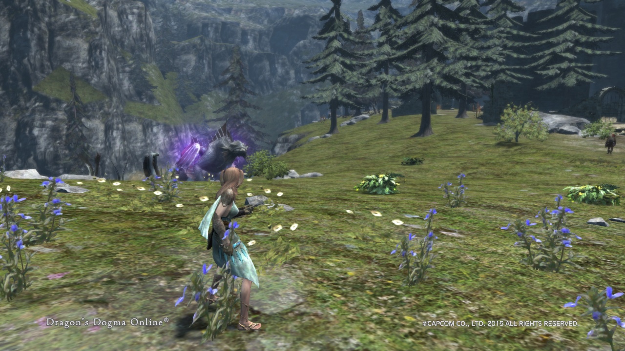 Dragon'sDogmaOnline_1556957750