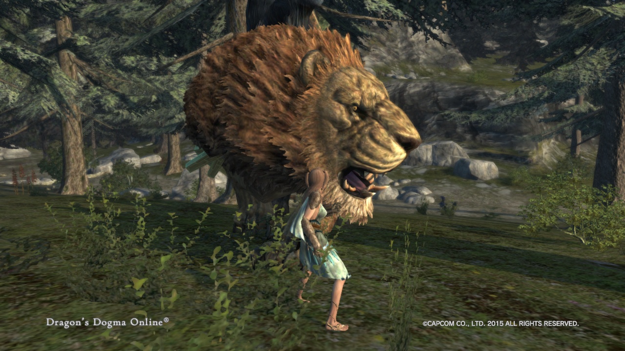 Dragon'sDogmaOnline_1557058977