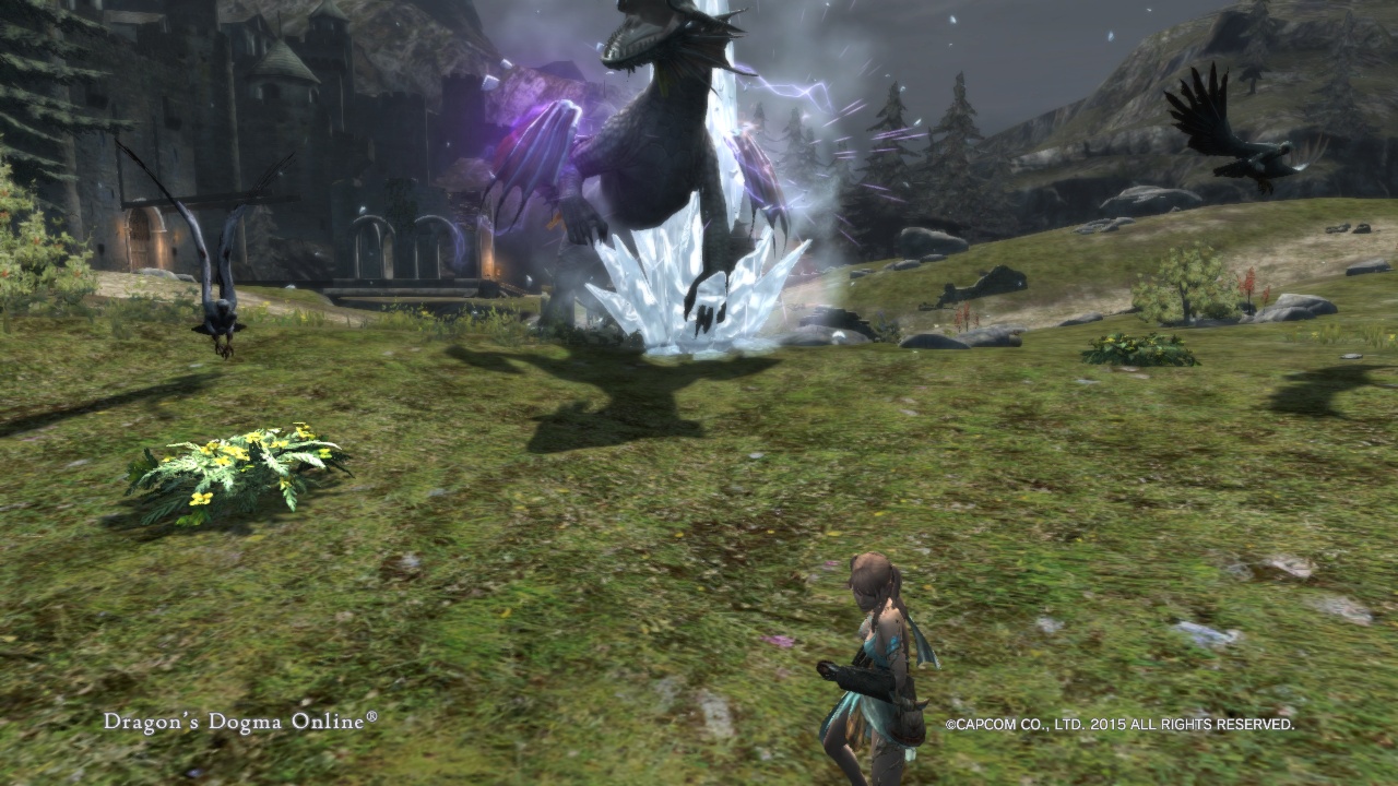 2019年7月28日のFF11＆ドラゴンズドグマプレイ日記