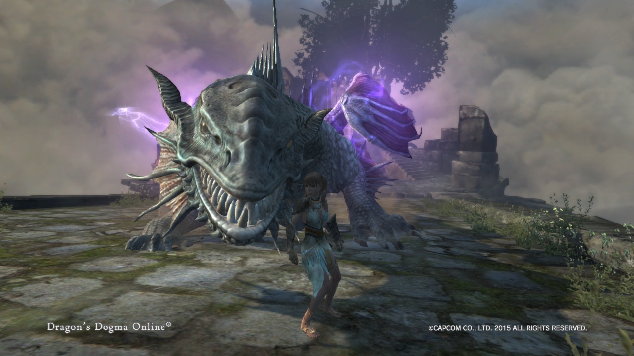 2019年11月14日のFF11＆ドラゴンズドグマプレイ日記