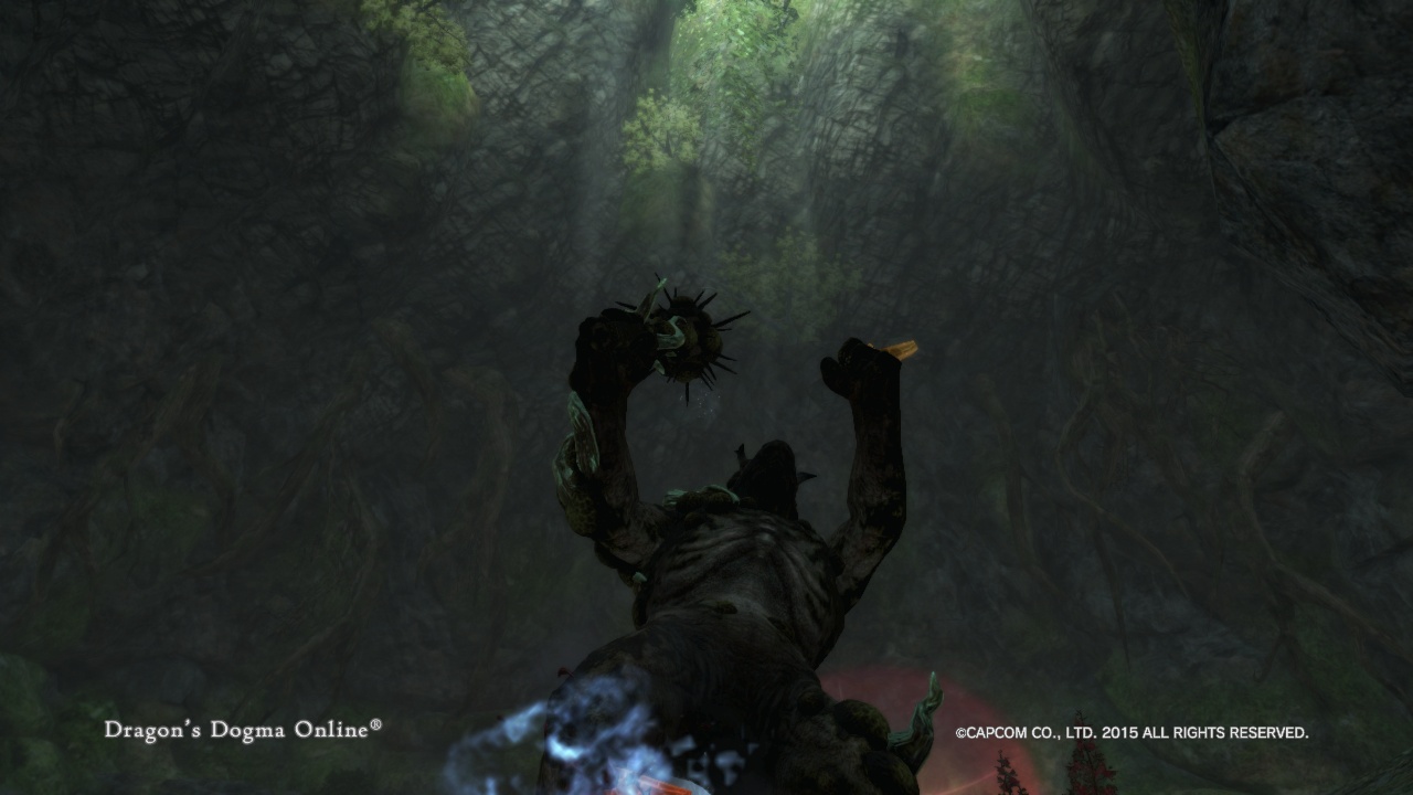 Dragon'sDogmaOnline_1573976986 Dragon'sDogmaOnline_1573976986