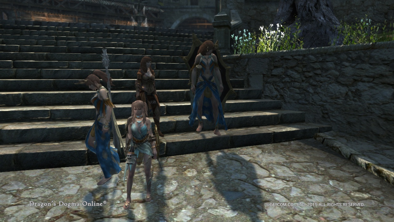 Dragon'sDogmaOnline_1574501462