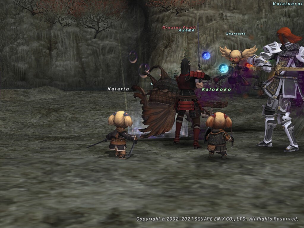 Kat210613171357a Kat210613171357a