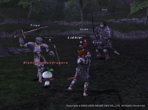 Lid200508102553a Lid200508102553a