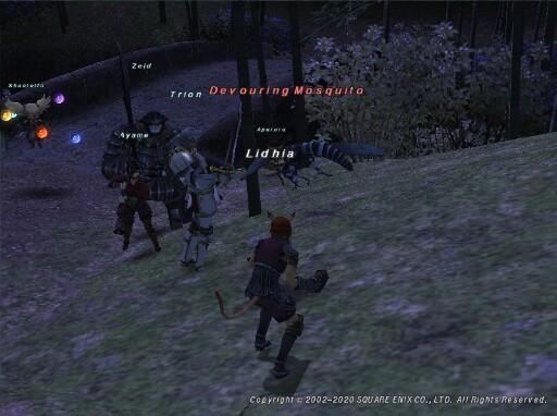 Lid200515074649a Lid200515074649a