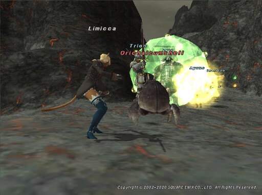 Lim200711003556a Lim200711003556a