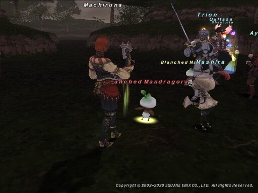 Mac200722195537a Mac200722195537a