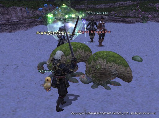 Mar200118142017a Mar200118142017a