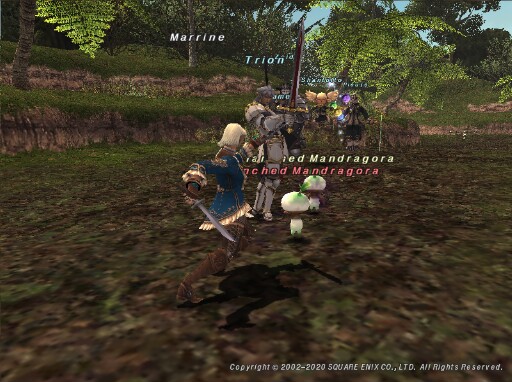 Mar200511233532a Mar200511233532a