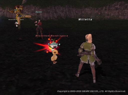 Mil200713111647b Mil200713111647b