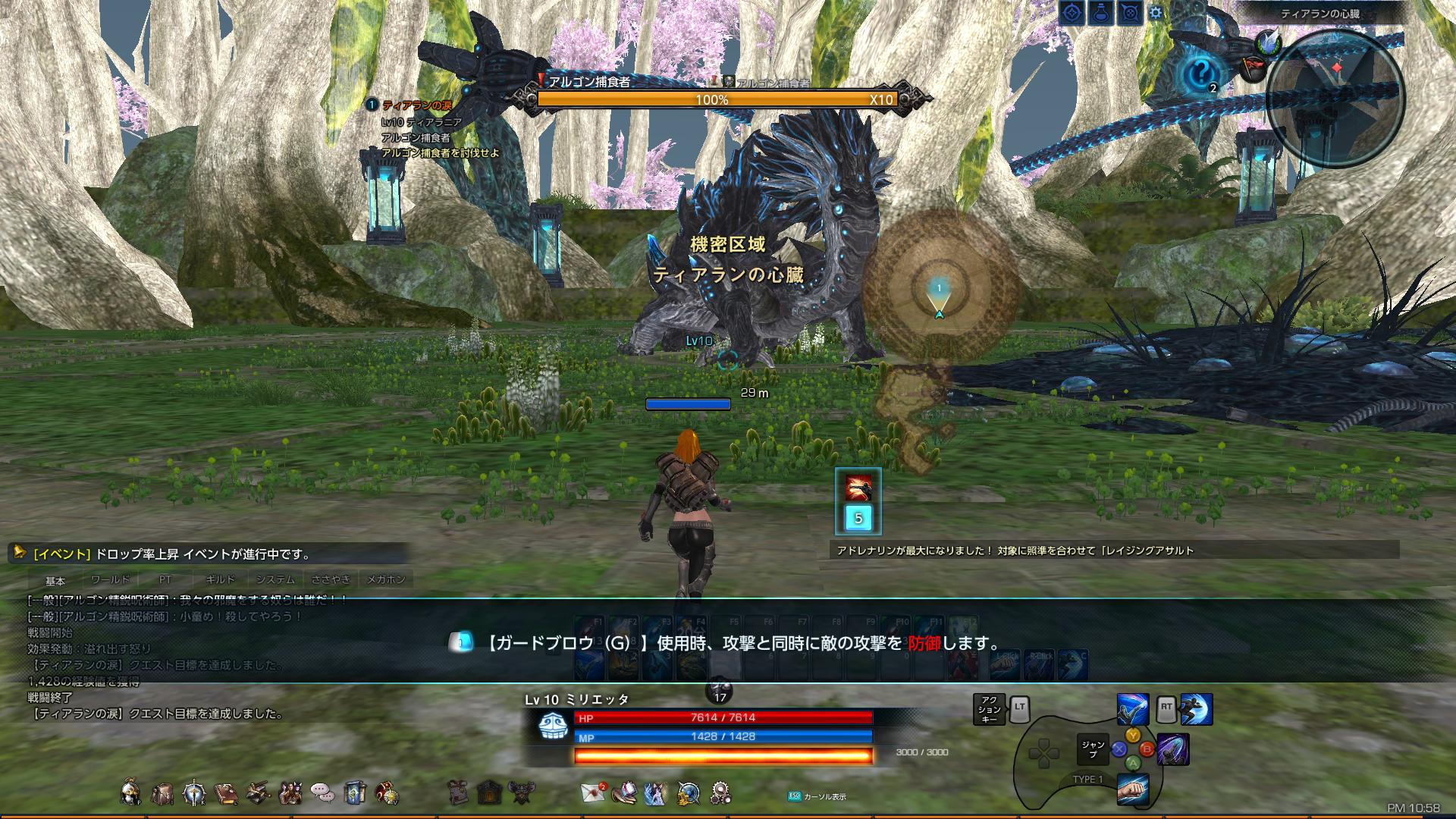 TERA_ScreenShot_20180101_225821