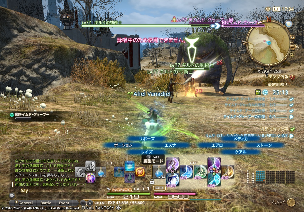 ffxiv_20200601_173443_914 ffxiv_20200601_173443_914