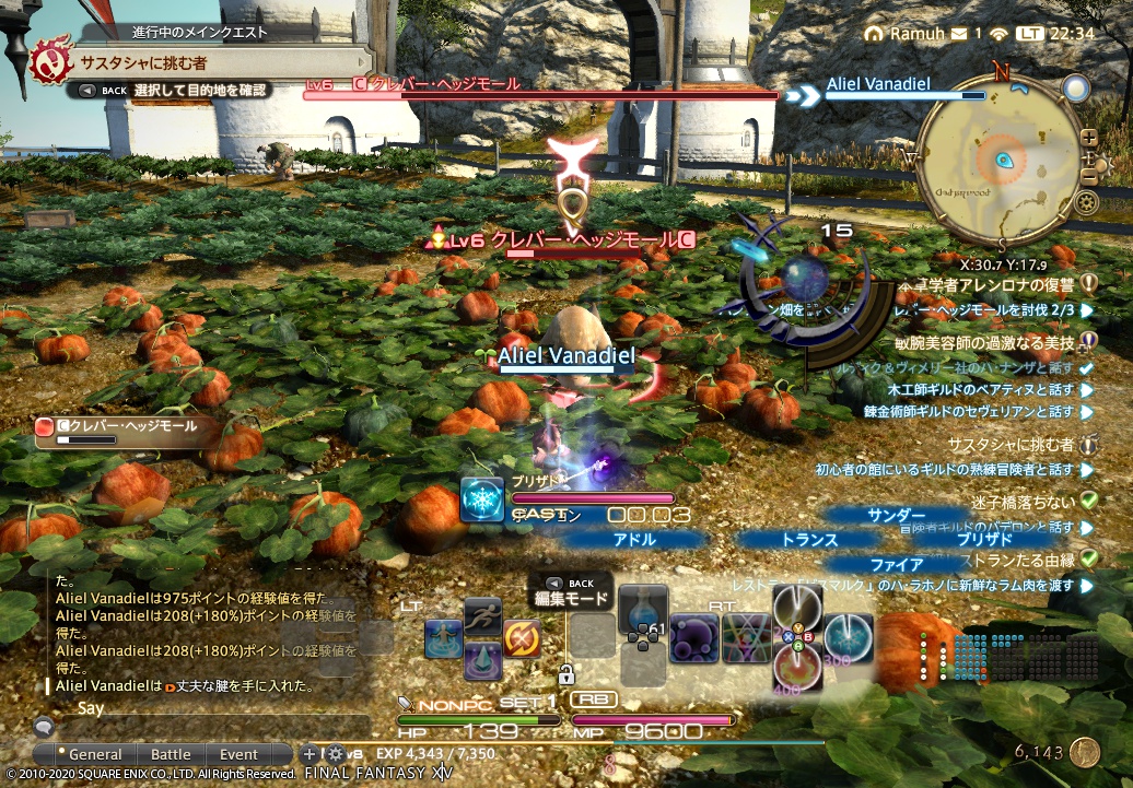 2020年6月4日のFF14＆FF11プレイ日記