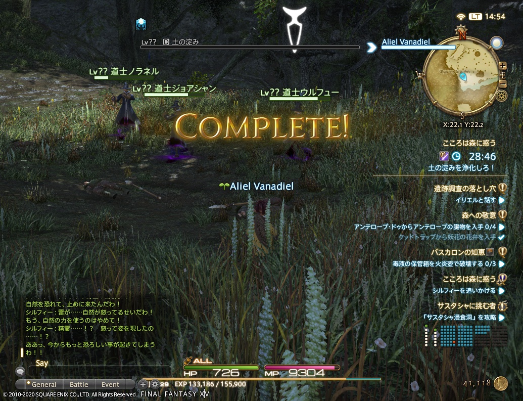 ffxiv_20200624_145454_396