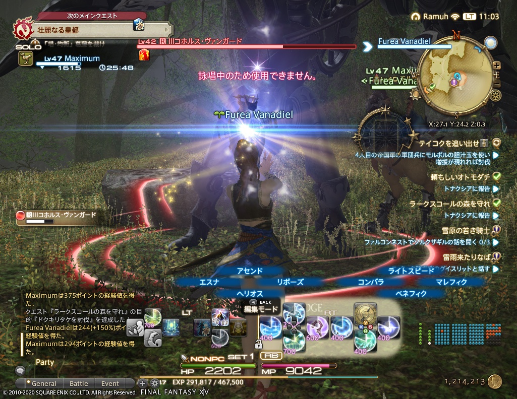 ffxiv_20200911_110357_796