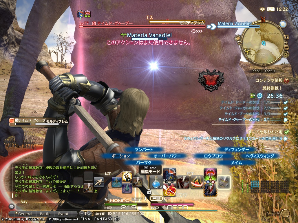 ffxiv_20201030_162219_625