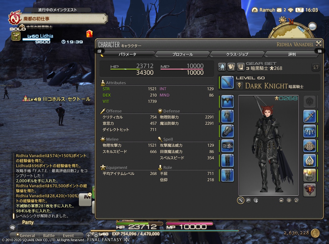 ffxiv_20201111_160320_471