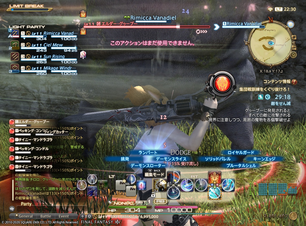 ffxiv_20201124_223042_398