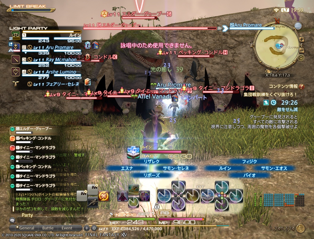 ffxiv_20201229_195927_306