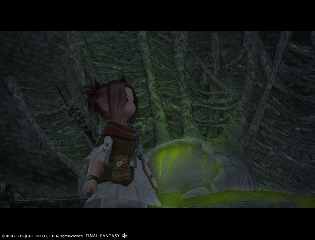 ffxiv_20210111_231838_641 ffxiv_20210111_231838_641