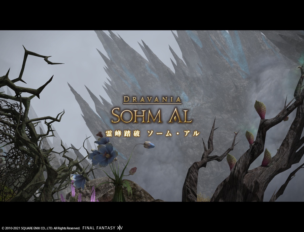 ffxiv_20210129_230040_795