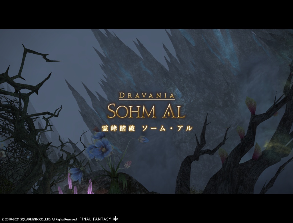 ffxiv_20210130_230725_343