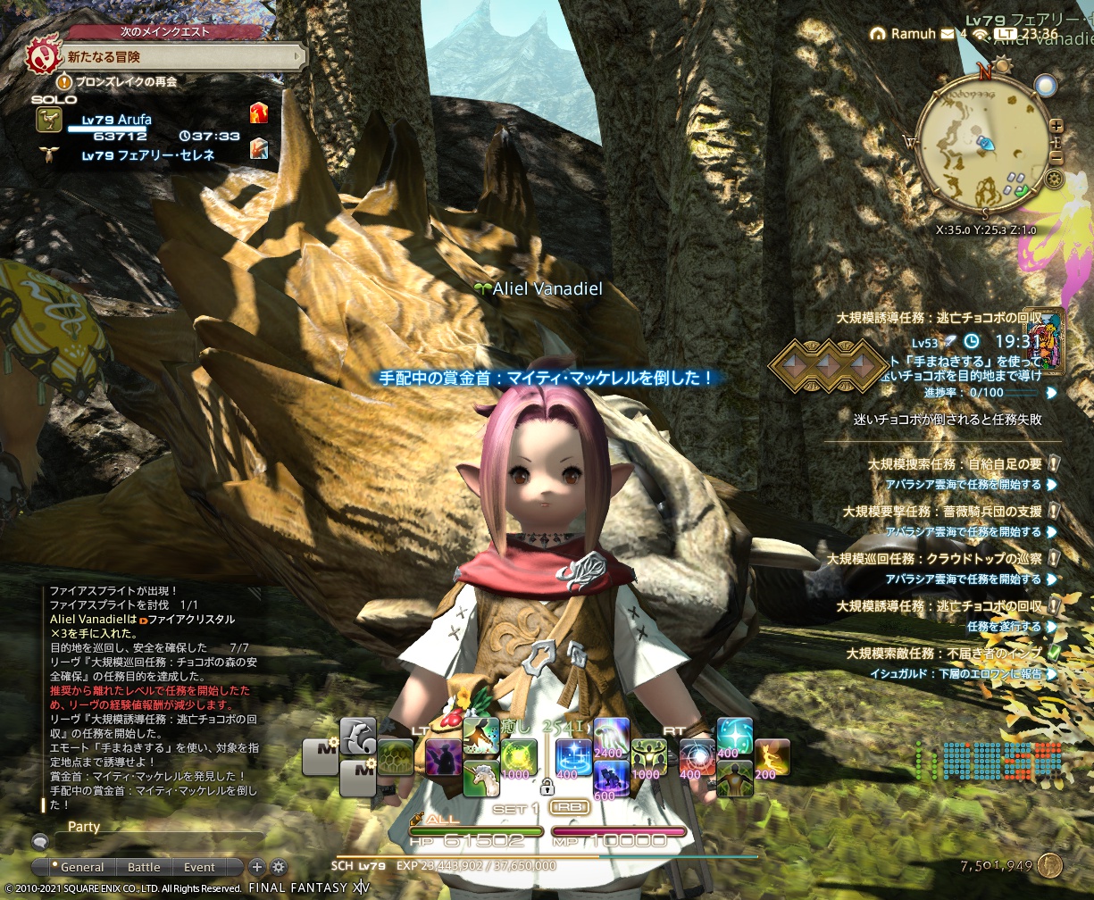 ffxiv_20210805_233613_696