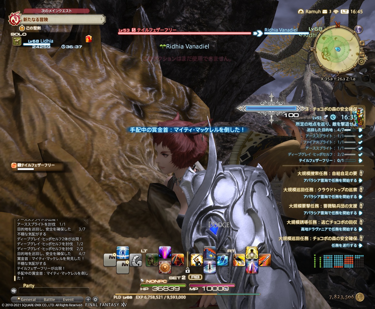 ffxiv_20210812_164539_694