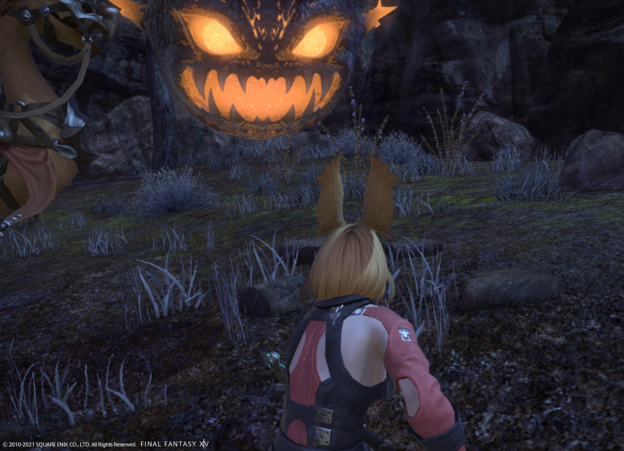 ffxiv_20211216_174753_690