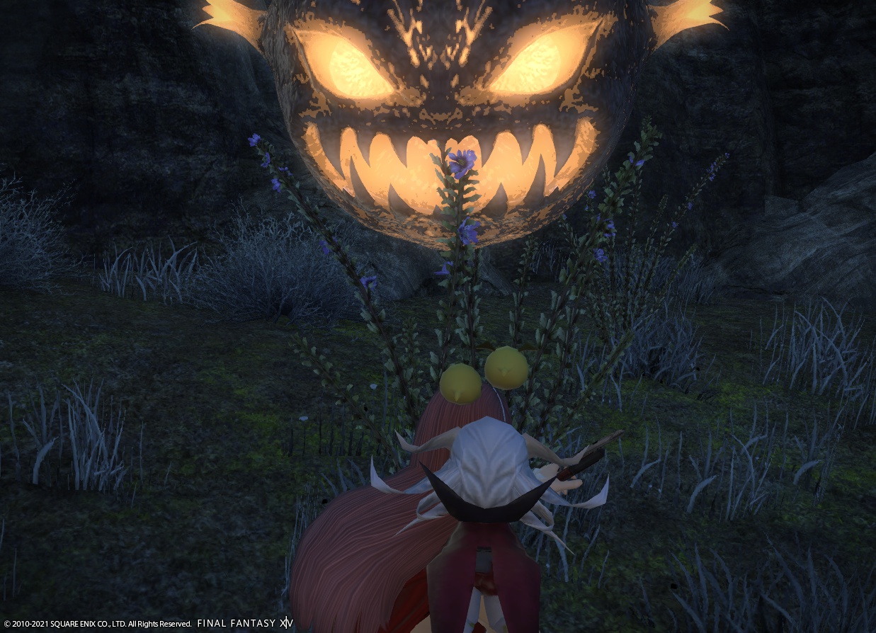 ffxiv_20211222_195336_133