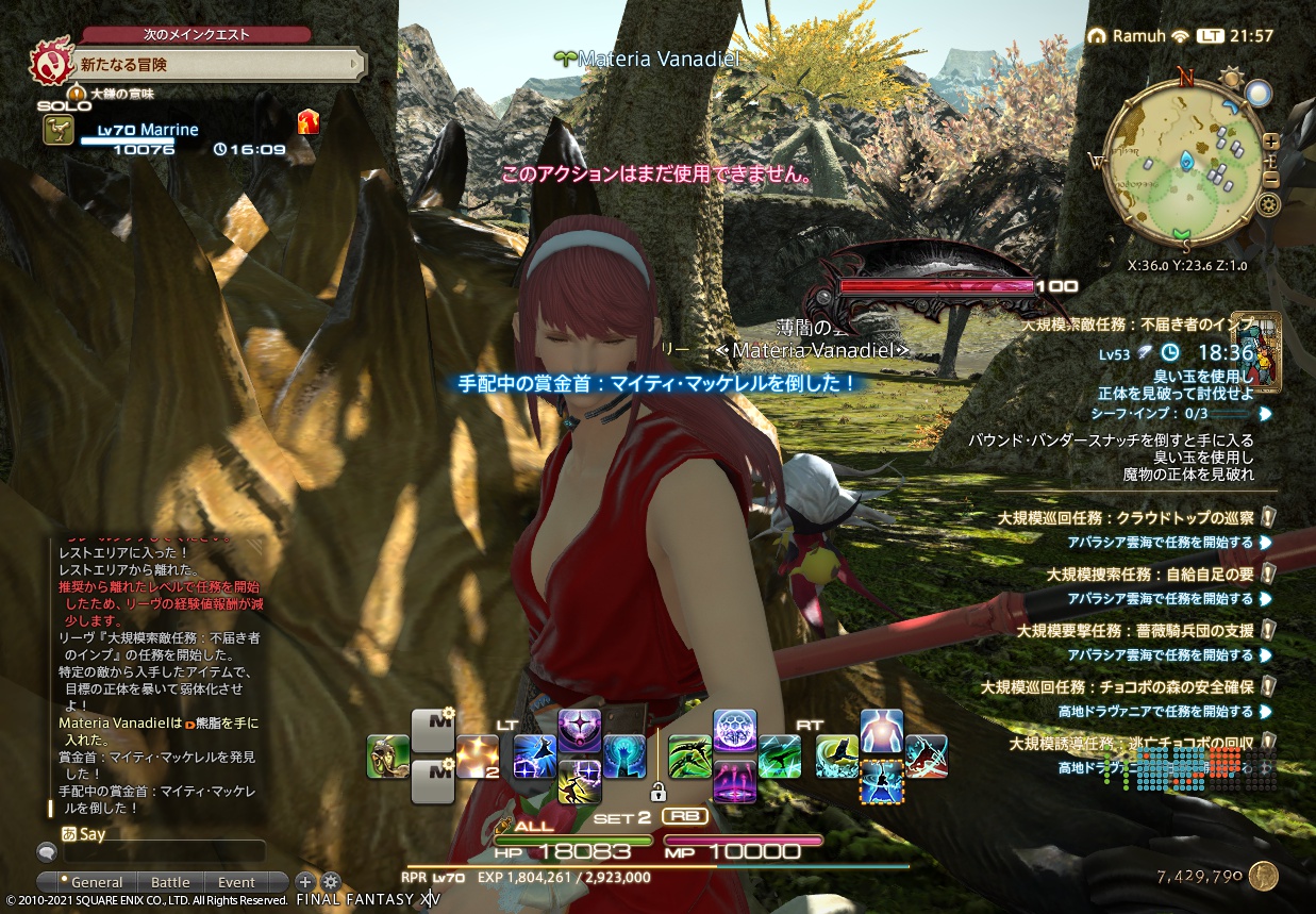 ffxiv_20211229_215746_311