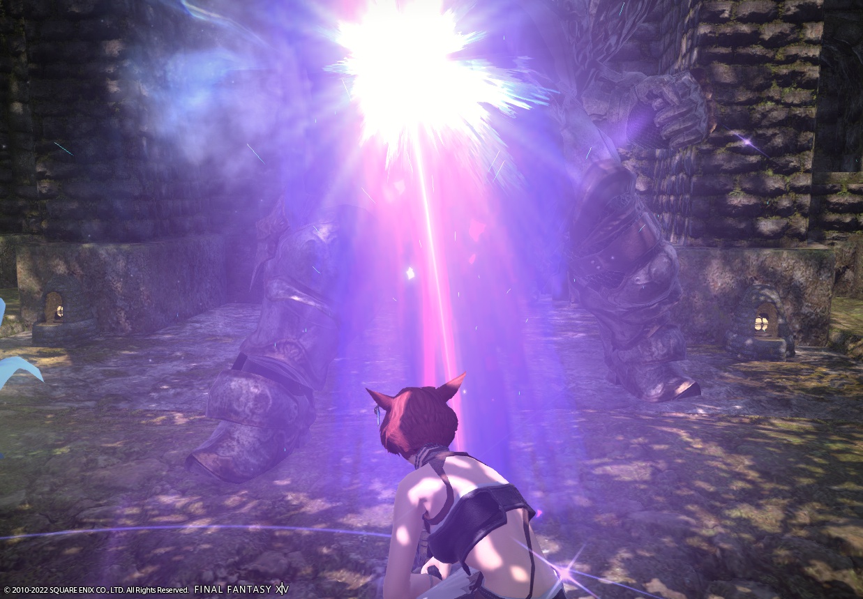ffxiv_20220111_174401_331