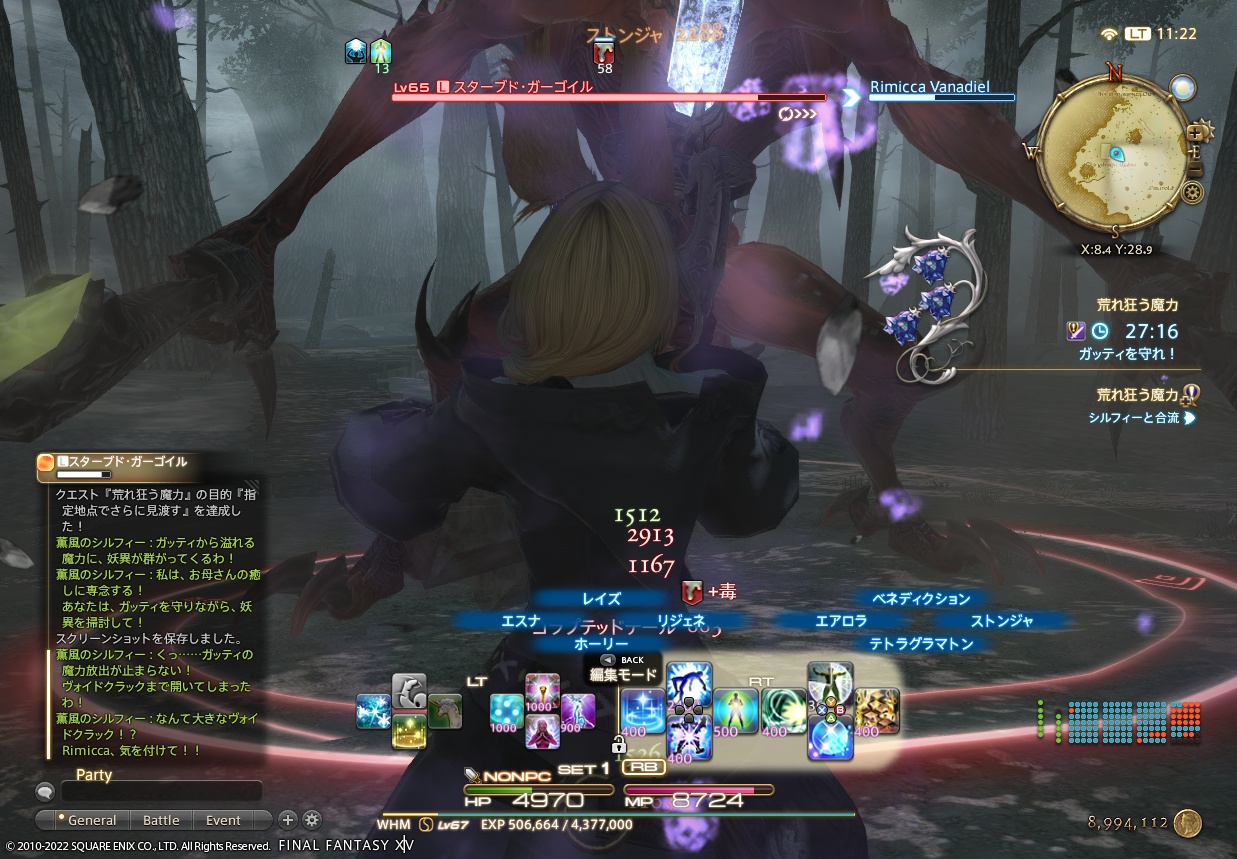 ffxiv_20220128_112227_199