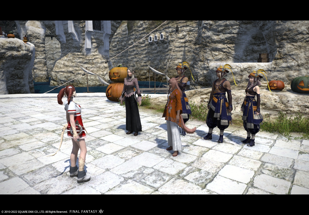 ffxiv_20220131_220857_275