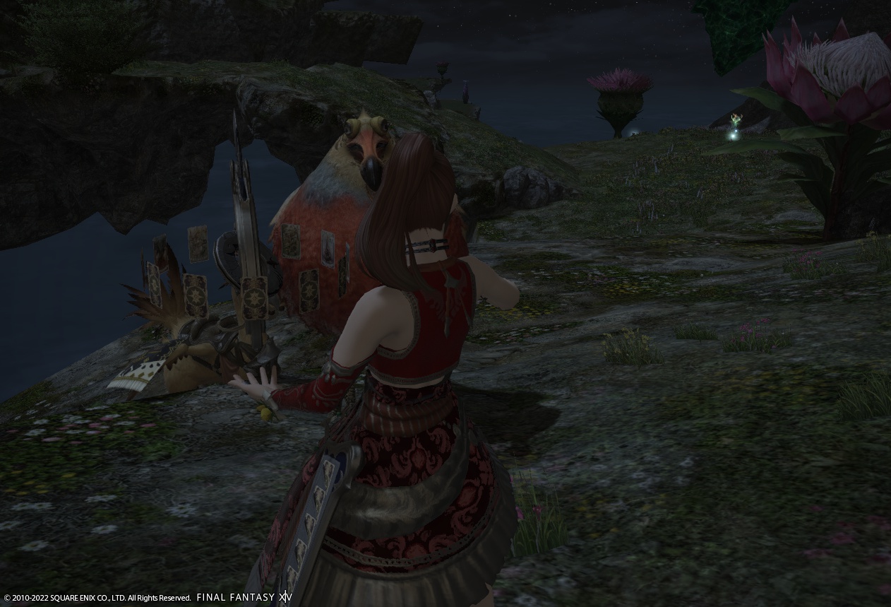 ffxiv_20220215_230531_672