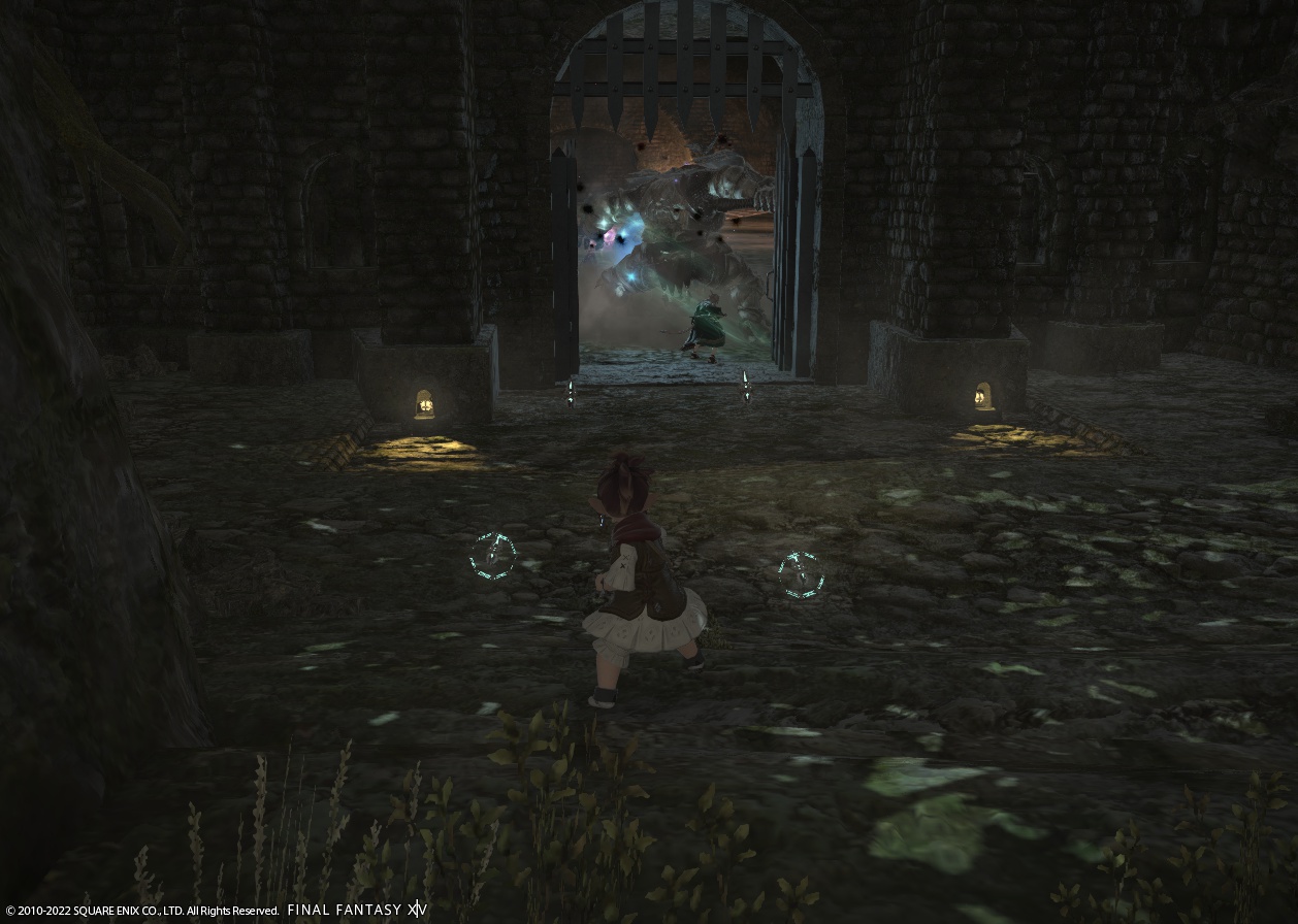 ffxiv_20220524_231625_759