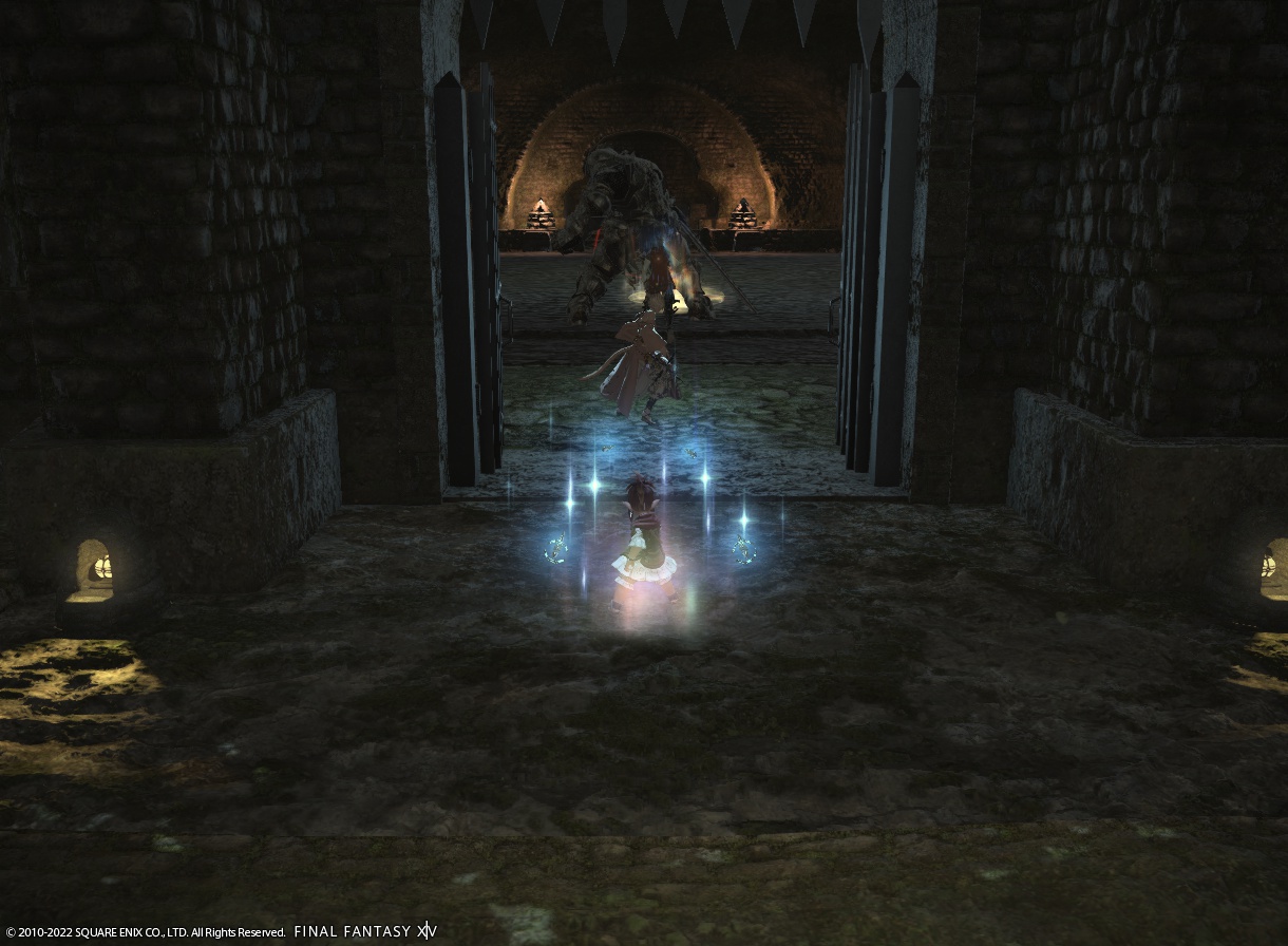 ffxiv_20220531_231551_557