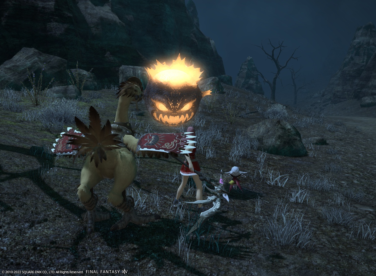 ffxiv_20220601_174651_477