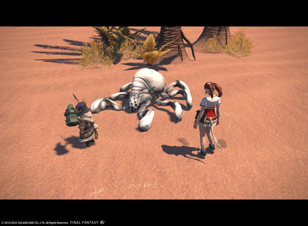 ffxiv_20220618_184651_573 ffxiv_20220618_184651_573