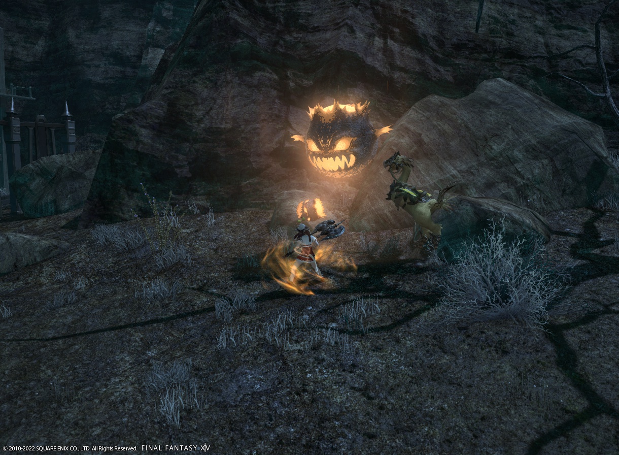 ffxiv_20220622_164212_646 ffxiv_20220622_164212_646